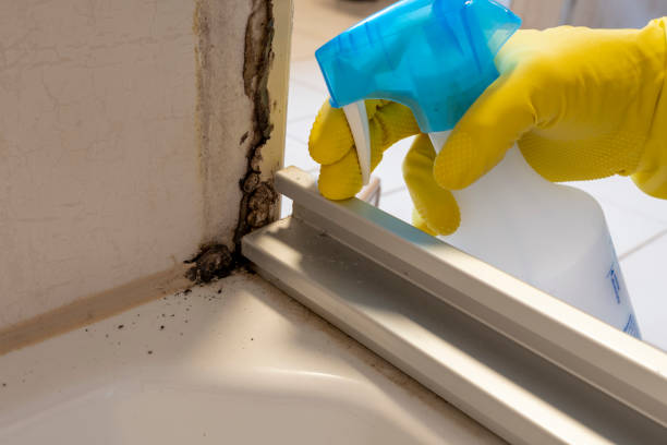 Crawl Space Mold Removal in Columbia Heights, MN