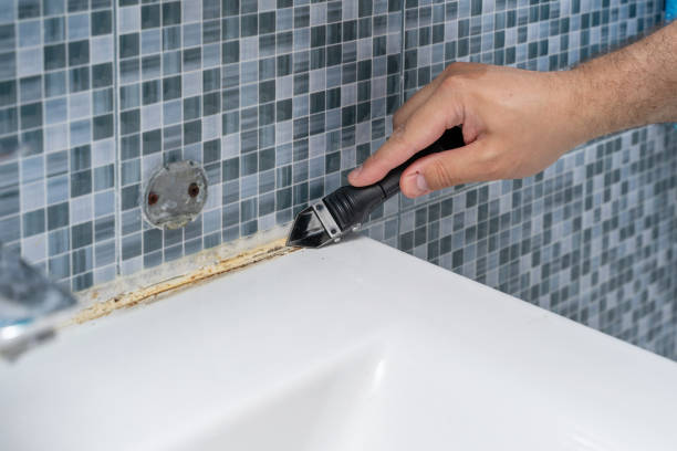 Best Residential Mold Removal  in Columbia Heights, MN