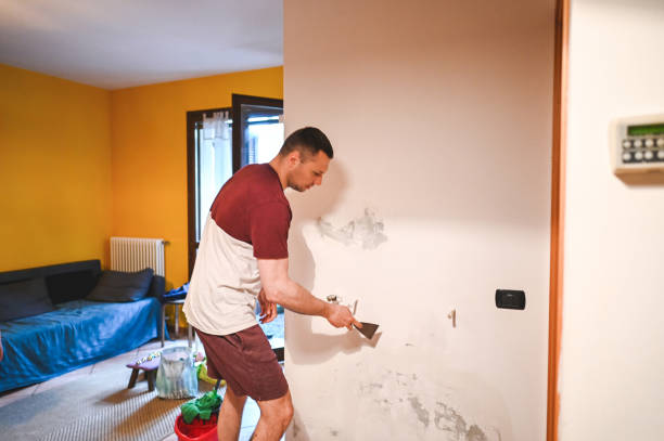 Best Mold Cleaning Services  in Columbia Heights, MN